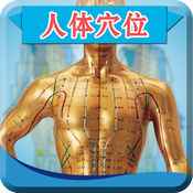 中医按摩宝典