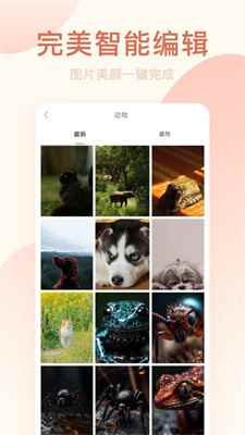 软件界面大气简洁