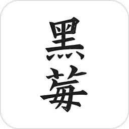 黑莓小说正版