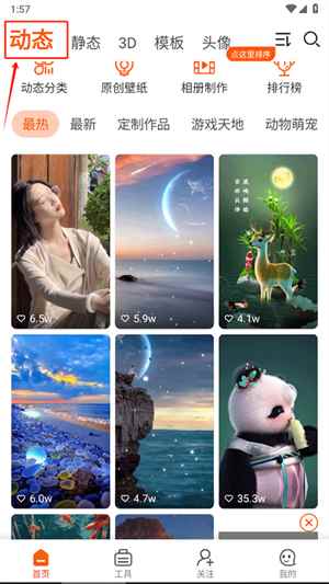 壁纸精灵 正式版