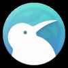 KiwiBrowser浏览器最新版