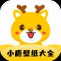 小鹿壁纸最新版