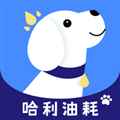 哈利油耗 哈利油耗
