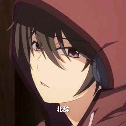 北辞弱网13.0最新版