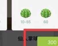 forest专注森林