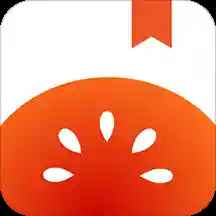 番茄小说手表版apk