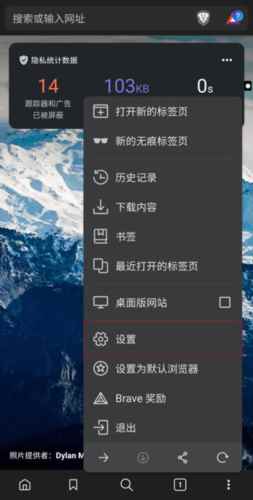 brave浏览器官方版如何设置全新主页图片2