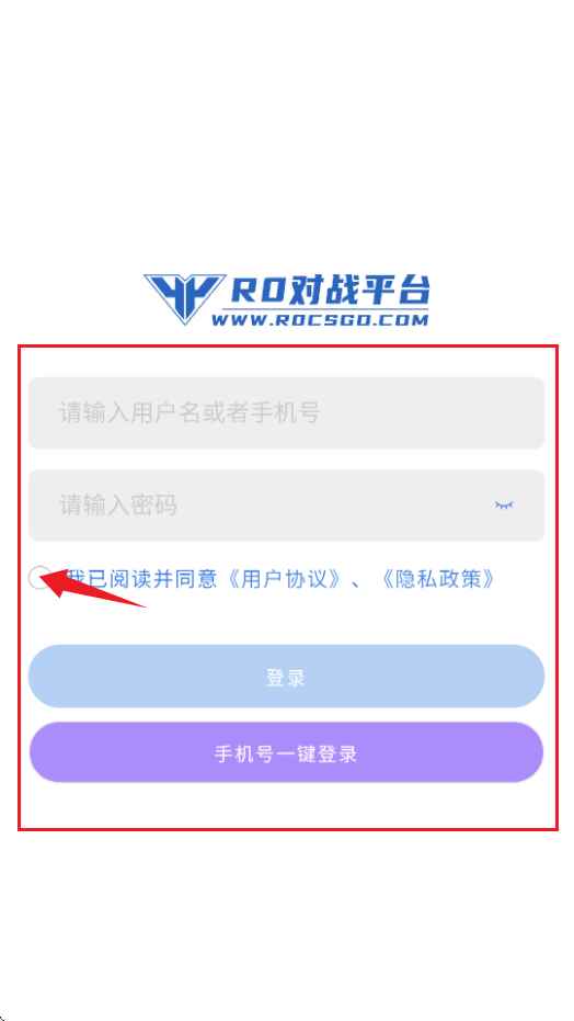 R0对战平台手机版