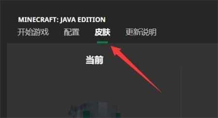皮肤怎么导入游戏中截图2