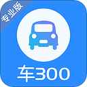 车300二手车官网版