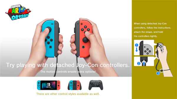 switch模拟器图片13