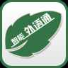 外语通小学版