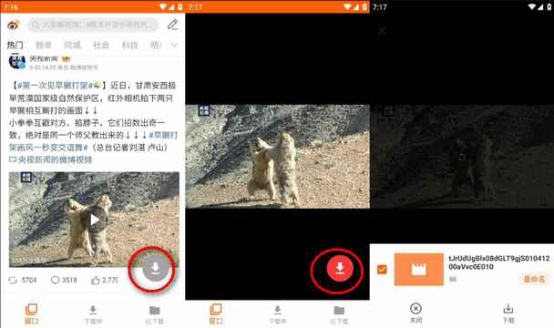 全能视频下载器app