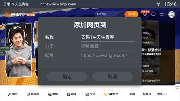 飞视浏览器
