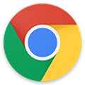Google浏览器2025手机版