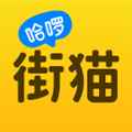 哈啰街猫最新版