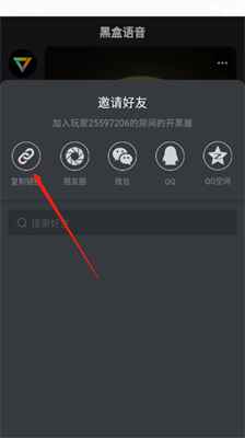 黑盒语音