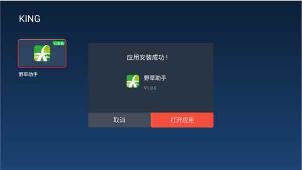 野草助手官方版