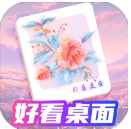 好看桌面壁纸最新版