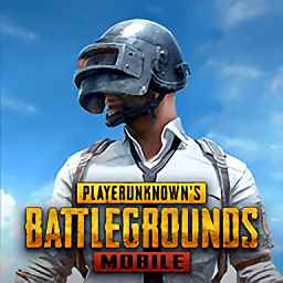 pubg正版国际服下载官网入口