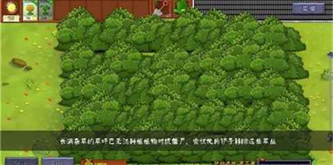植物大战僵尸转基因版