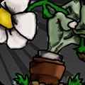 植物大战僵尸苏戏版免费版