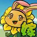 植物大战僵尸嫁接版正式版