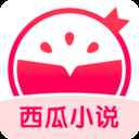 西瓜小说免费阅读
